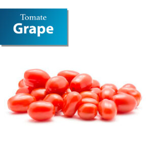 Tomate Grape 1x1